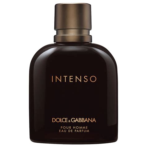 intenso perfume dolce gabbana